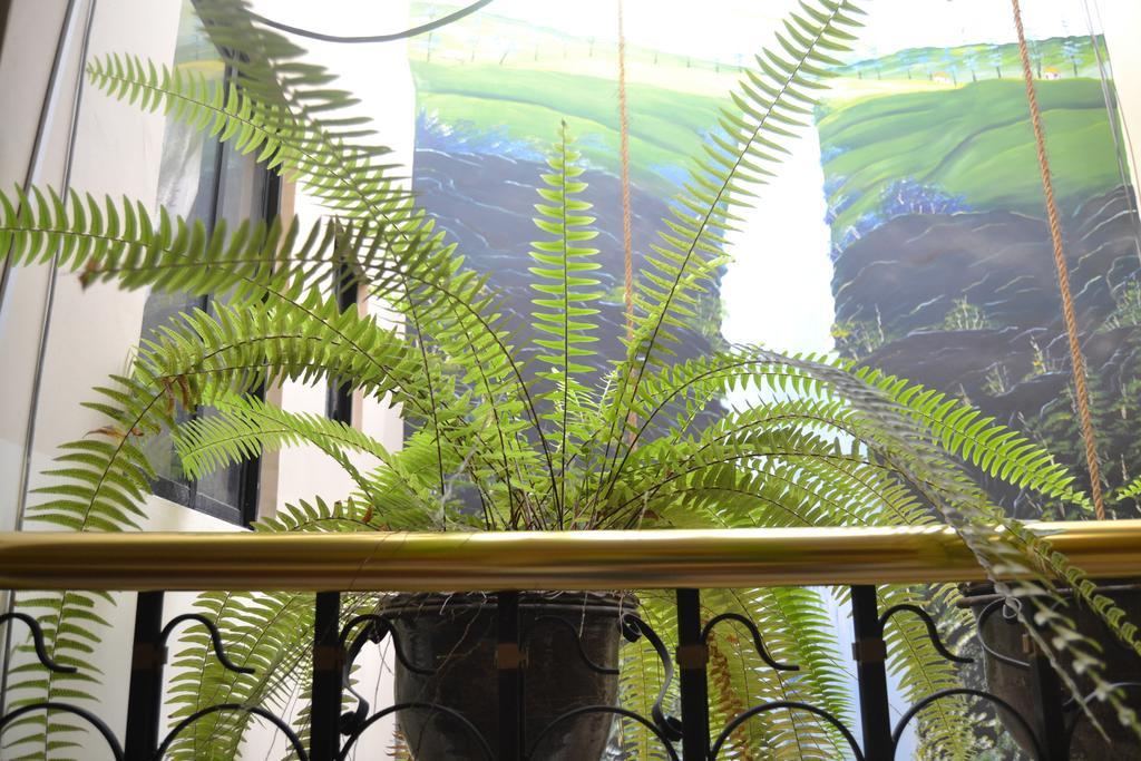 Mashy'S Hostal Otavalo Dış mekan fotoğraf